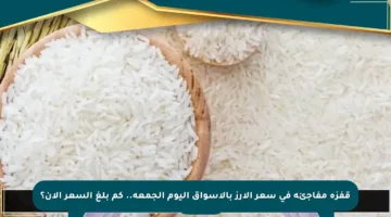 قفزة مفاجئة في سعر الأرز بالأسواق اليوم الجمعة.. كم بلغ السعر الآن؟